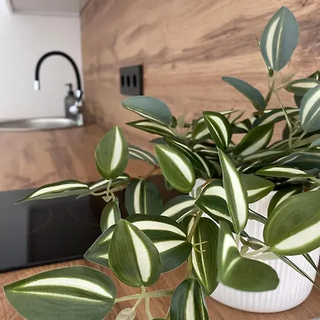 Apartment Rawda 2 Jajce