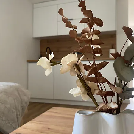 Apartment Rawda 2